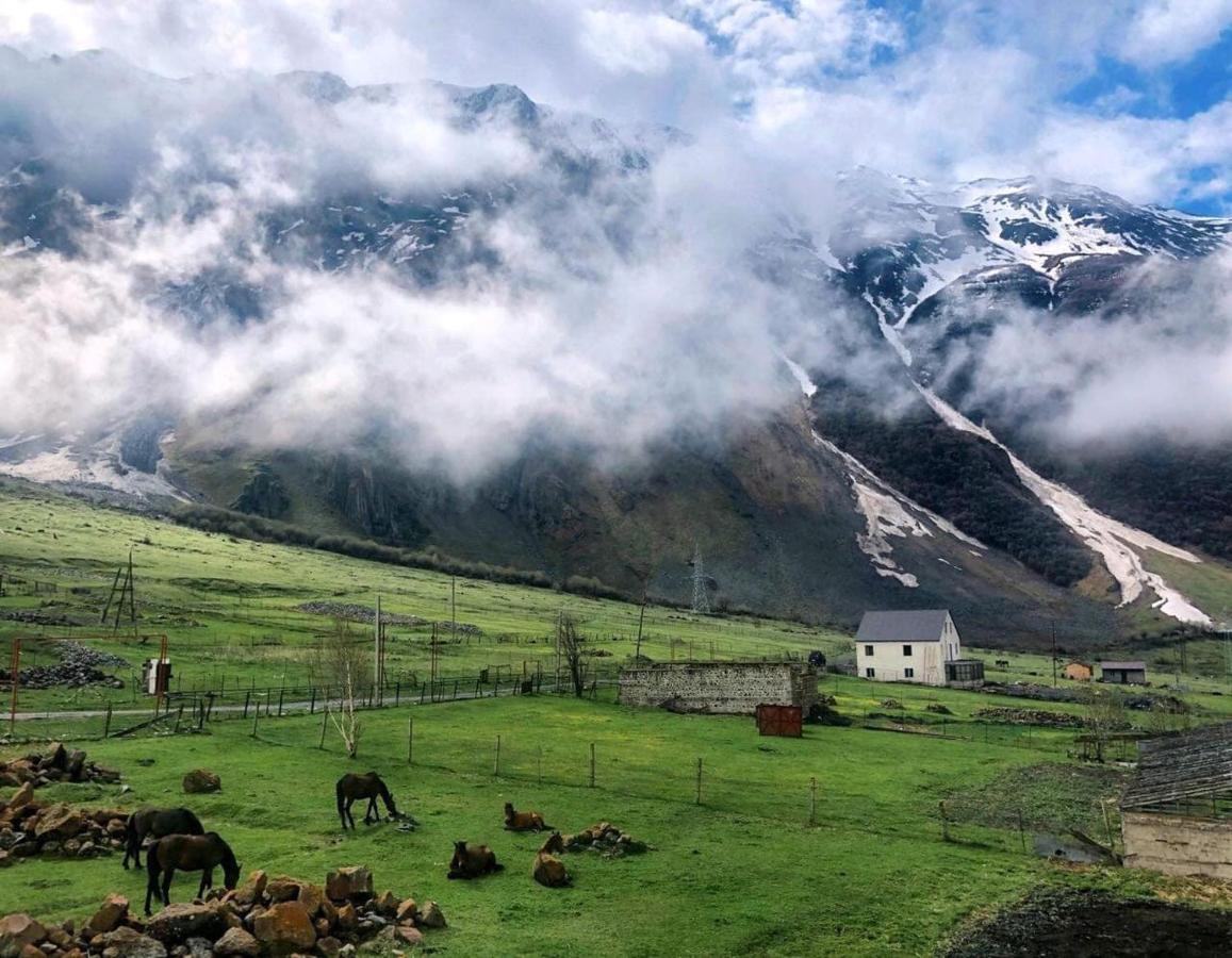 Hotel Arte In Kazbegi Exteriér fotografie
